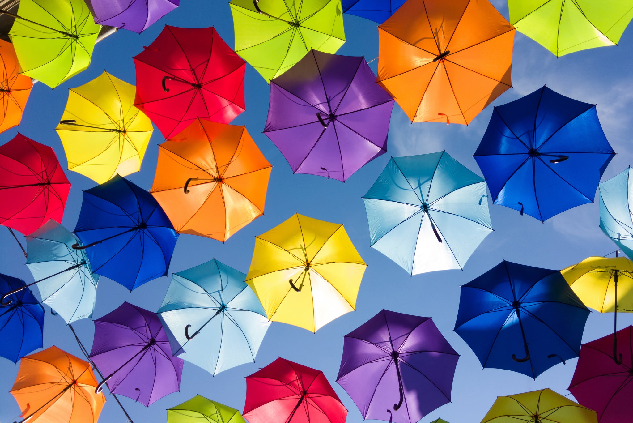 Everything you need to know about Umbrella