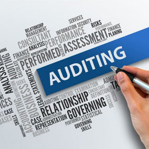 Audit & Assurance
